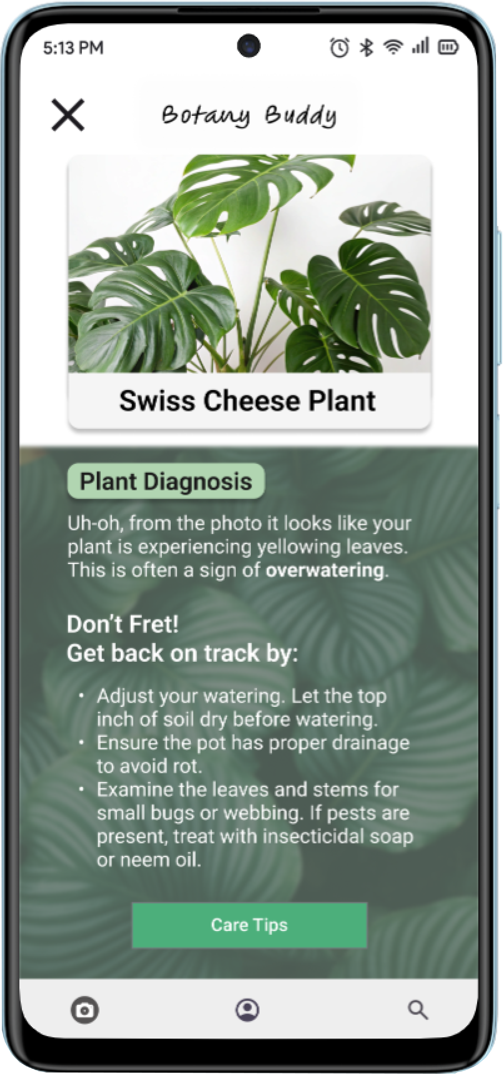 Botany Buddy Android Diagnosis